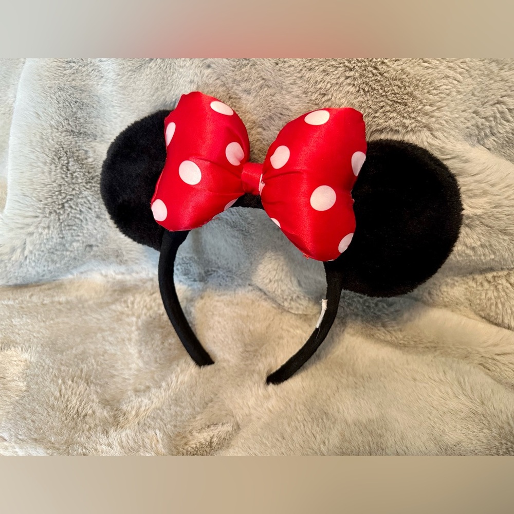 Minnie Mouse Ears from Disney World.